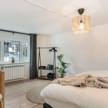 Ash - Urban Jungle - Indoor Playgrnd, Netflix, Ssc * Winterberg
